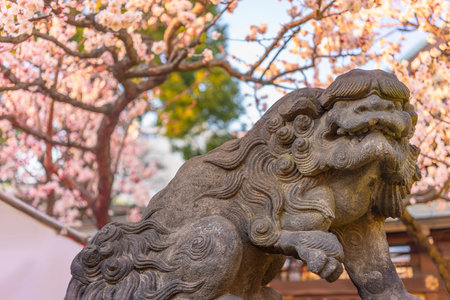 tokyo, japan - march 02 2020: Lion shishimai komainu mythological guardian of Japanese temples and shrines against a pink flowering plum trees background.のeditorial素材