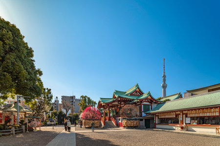 tokyo, japan - march 08 2020: Kameido Tenjin shrine dedicated to Sugawara no Michizane during the plum festival with the Tokyo Skytree tower in the background.のeditorial素材