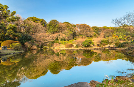 tokyo, japan - march 20 2020: The pond of the Japanese garden of the Koishikawa botanical gardens where the trees and shrubs of azalea are reflected in the water as in a mirror.のeditorial素材