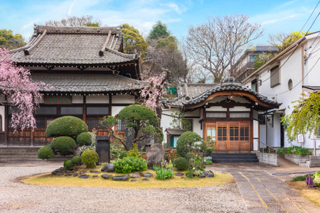 tokyo, japan - march 30 2020: Springtime view of Seiunzenji zen temple dedicated to the Shinto deity Ebisu and also called temple of hanami due to his weeping cherry tree. His wall is ornated with flame-shaped wooden windows called Katomado.のeditorial素材