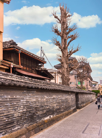 tokyo,japan - march 30 2020: Big dry tree behind the fence of Kanon Temple in Yanaka whose typical cob walls called Tuijibei made with stacked tiles are classified as cultural heritage of  Tokyo.のeditorial素材