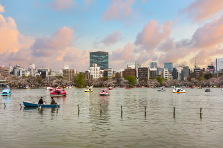 tokyo, japan - march 30 2020: Couple on a boat rowing and admiring the duck-shaped pedal boats...
