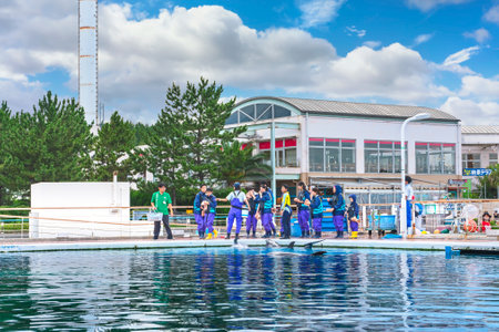 yokohama, japan - july 19 2020: Group of young people interacting with dolphins in the Fureai Lagoon of the amusement park of Yokohama Hakkeijima Sea Paradise.のeditorial素材