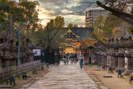 tokyo, japan - november 10 2019: Stone lanterns along the path leading to the gold foils covered Ueno TÅshÅ-gÅ« shrine classed as Important cultural property and dedicated to Tokugawa Shoguns at sunset.のeditorial素材