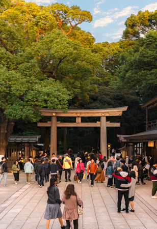shibuya, japan - november 02 2019: Crowd of tourists passing trough the wooden Higashi-Tamagaki-Torii sacred gate adorned with golden imperial coat of arms in the Shinto shrine of Meiji-Jingu.のeditorial素材
