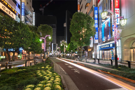 ikebukuro, japan - december 31 2020: Night view of the sidewalk of the Sunshine Street at the east exit of Ikebukuro station decorated with grasses and Kale or leaf cabbage.のeditorial素材
