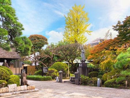 tokyo, japan - november 10 2020: Inner garden of the temple of seven gods of happiness of Sumida named Tamonji adorned with buddhist statues and momiji maple trees at autumn.のeditorial素材