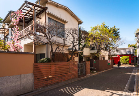 tokyo, japan - april 05 2021: Cherry blossoms in a traditional street of the old-Fashioned district of Yanaka with the red gate of the kanoin temple.のeditorial素材