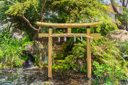tokyo, japan - march 25 2021: Japanese golden gate named torii adorned with a sacred straw rope called shimenawa in the pond of Atago shrine covered with fallen cherry blossoms petals under a maple.のeditorial素材
