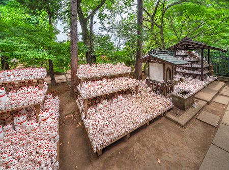 tokyo, japan - july 25 2021: Hundreds or thousands of Japanese manekineko cat lucky charms sculptures dedicated to the famous beckoning cat offered by buddhist worshipers in the gotokuji zen temple.のeditorial素材