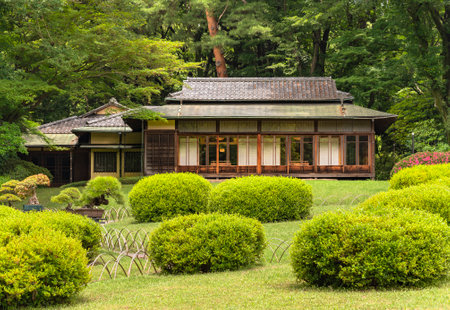 tokyo, japan - june 25 2021: Niwaki shrubs and bonzai trees in the Meiji Jingu Inner Garden overlooked by the Japanese chashitsu tea room Kakuuntei teahouse used by Meiji emperor for tea ceremony.のeditorial素材