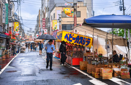 tokyo, japan - october 14 2019: Japanese Sugamo shopping street named Granny's Harajuku a rainy day...
