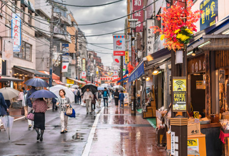 tokyo, japan - october 14 2019: Lamp post adorned with autumn leaves and chrysanthemum flowers decorations in the Japanese Sugamo shopping street a rainy day with persons sheltering under umbrellas.のeditorial素材