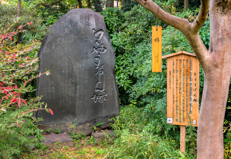 tokyo, japan - november 13 2020: Death poem on a stone stele dedicated to Kawatake Mokuami, the most prolific Kyogen and kabuki author of jidaimono,sewamono or shosagoto in Mukojima-Hyakkaen Gardens.のeditorial素材