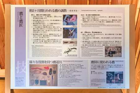 tokyo, japan - april 09 2021: Instruction panel explaining how falconers taming and training their falcons to prepare them to catch prey in the traditional kamoba hunting ritual of Hama-Rikyu gardens.のeditorial素材