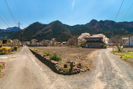 saitama, japan - march 20 2022: Road bifurcation in a Japanese countryside of Chichibu city with fallow crop fields and houses and the BukÅ mountains and Toritani mounts.のeditorial素材
