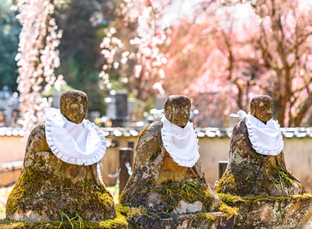 Three stone statues of Jizo Bodhisattva or Jizo Bosatsu known as protector of stillborn children covered in centuries-old moss and wearing a baby bib against a bokeh background of pink cherry blossomsの写真素材
