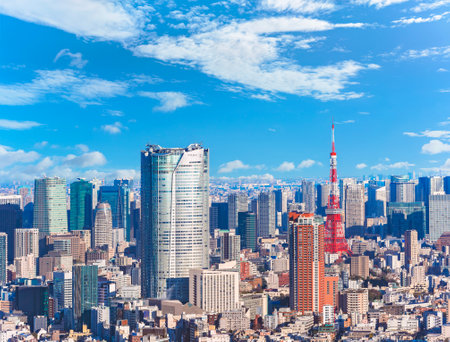 An expansive view capturing a jungle of buildings overseeing the cityscape of Roppongi and Hamamatsucho featuring the striking Roppongi Hills and Tokyo Tower, two landmarks skyscrapers of modern Japanの写真素材