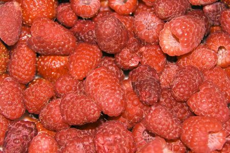 Many berry raspberry for backgroundの写真素材