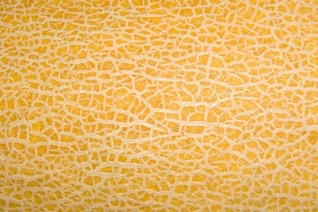 orange cantaloupe melon skin for backgroundの写真素材