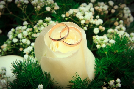 Golden wedding rings with bouquet. Focus on the ringsの写真素材