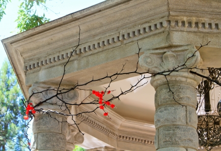 fragment of the rotunda with columns strung with acacia thorns