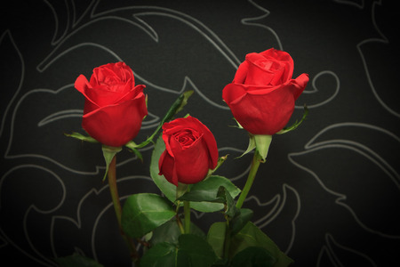 Three red roses over black backroundの写真素材