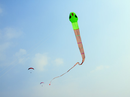 Big kite snake flying over blue sky, Goa, Indiaの写真素材