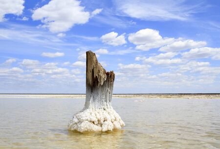 Wooden stump in salt crystals stands in the brine of the salt lake Baskunchak against a blue sky with cloudsの写真素材