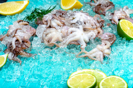 Fresh cuttlefish on ice with lemon and dill on blue backgroundの写真素材