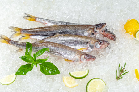 Fresh raw fish on ice with lemon and herbs. Seafood background