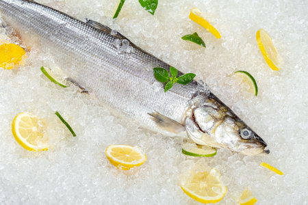 Fresh raw rainbow trout fish on crushed ice with lemon and herbs closeupの写真素材