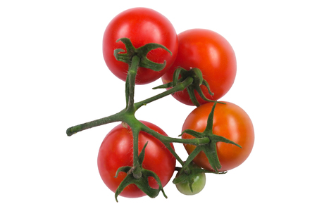 Five red tomatoes on a branchの写真素材