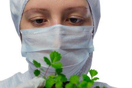 Scientist hands holding a plant on whiteの写真素材