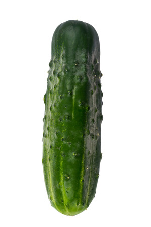 ripe cucumber on white verticalの写真素材