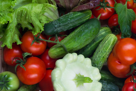 Background of fresh vegetables from the farmの写真素材
