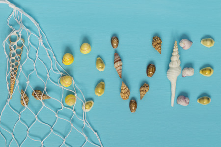 love of shells and rope lying on a blue backgroundの写真素材
