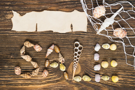 word sale is lined seashells on woodの写真素材