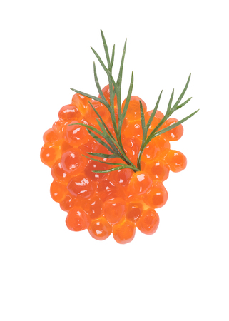 pile of red caviar and a sprig of dill on white backgroundの写真素材