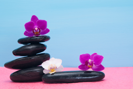 several orchid on black stones as a background for an inscriptionの写真素材
