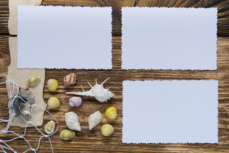 theme for photos, surrounded by shellsの写真素材