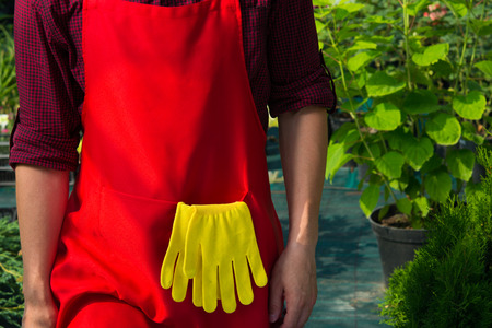 background red apron and yellow gloves gardenerの写真素材