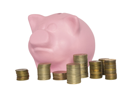 Pink piggy bank and stacks of coins in front of her on a white backgroundの写真素材