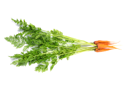 Carrots on a white background with green topsの写真素材