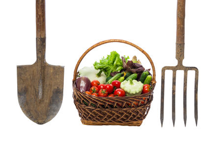 basket of vegetables next to a pitchfork and shovel isolatedの写真素材