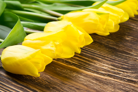 Yellow tulips on a dark wooden table are arranged diagonallyの写真素材