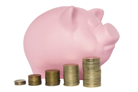 Coins were collected in stacks in front of a pink roseの写真素材