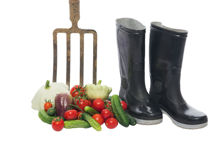 fresh vegetables near the pitchfork and boots, insulationの写真素材