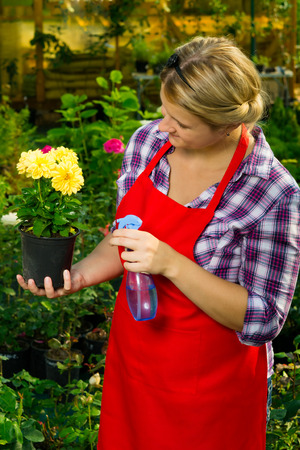 Woman in a red apron, looking after flowersの写真素材