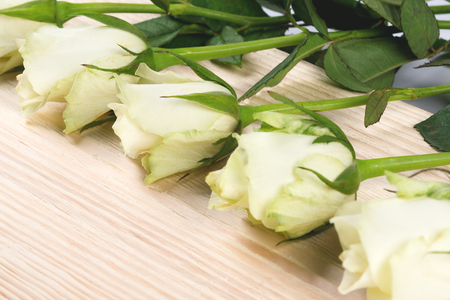 White roses lie diagonally on a wooden tableの写真素材